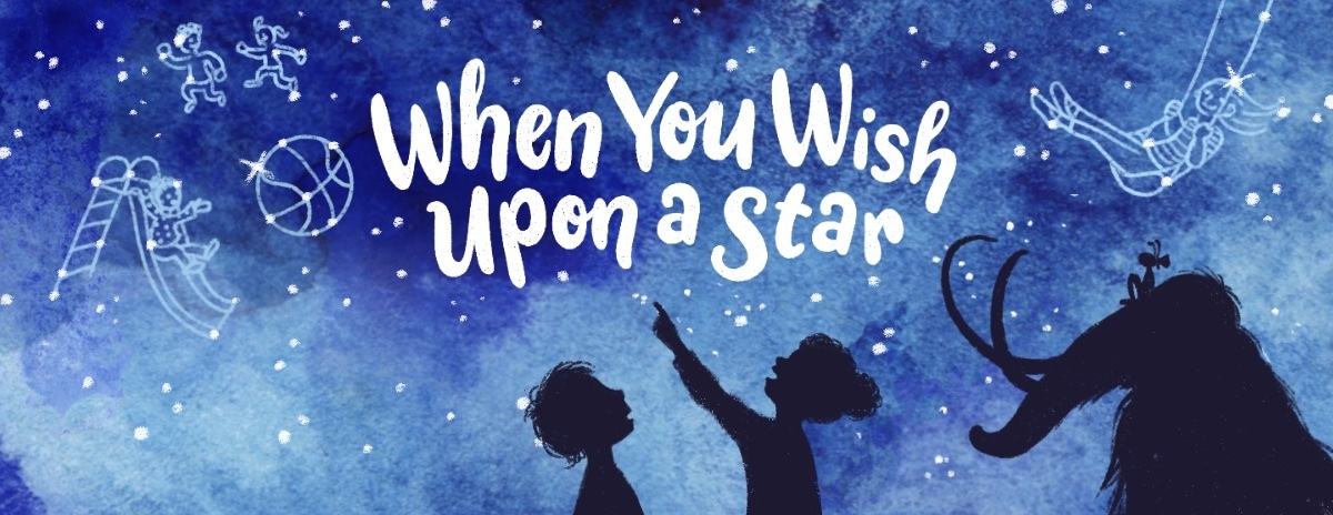 City of Lakes Waldorf School Gala